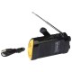 Mitaki-Japan Wind-Up AM/FM Radio Flashlight