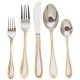 Sterlingcraft Surgical Stainless Steel 20pc Flatware Set with Gold Trim