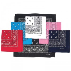 Diamond Plate 6pc Paisley Print Bandana Set