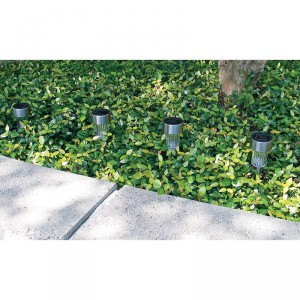 Wyndham House 4pc Stainless Steel Solar Garden Light Set