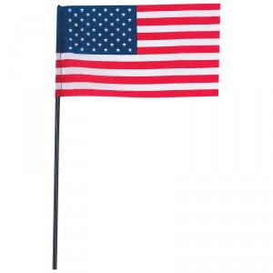 100pc 6 x 4 United States Flag with Pole Set