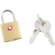 Diamond Plate 10pc Brass Luggage Locks in Countertop Display