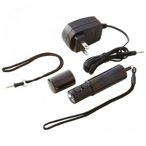 Maxam Lipstick-Style Rechargeable Stun Gun